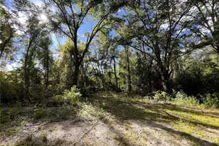 1874 SW Nautilus Rd, Lake City, FL 32024 - Photo 11