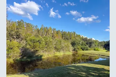12424 Belcroft Drive, Riverview, FL 33579 - Photo 31