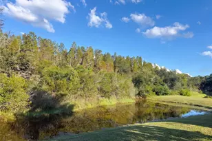 12424 Belcroft Dr, Riverview, FL 33579 - Photo 31