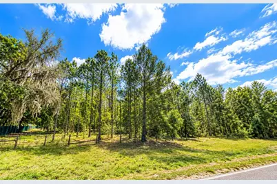 000 Cr 309, Satsuma, FL 32189 - Photo 3