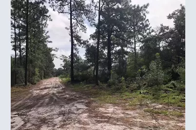 Lot 228 Park Forest Boulevard #Lot 228, Mount Dora, FL 32757 - Photo 1