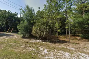 SW 86th St, Dunnellon, FL 34431 - Photo 1