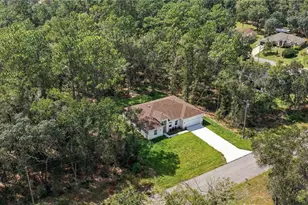9266 N Rhine Way, Citrus Springs, FL 34434 - Photo 31