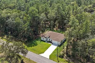 9266 N Rhine Way, Citrus Springs, FL 34434 - Photo 33