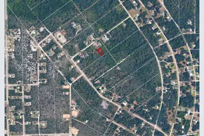1212 Curtis Street, Lake Placid, FL 33852 - Photo 3