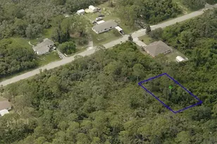 1212 Curtis St, Lake Placid, FL 33852 - Photo 1