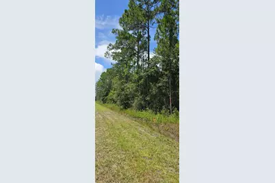 4220 Isaac Street, Hastings, FL 32145 - Photo 3