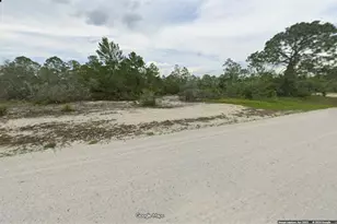 432 Blue Moon Ave, Lake Placid, FL 33852 - Photo 1