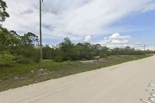 406 Jack Weisser Blvd, Lake Placid, FL 33852 - Photo 1