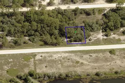 406 Jack Weisser Boulevard, Lake Placid, FL 33852 - Photo 3