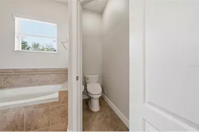 6234 Tremayne Drive, Mount Dora, FL 32757 - Photo 19