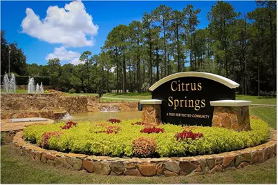 8445 N Janeaux Drive, Citrus Springs, FL 34434 - Photo 3