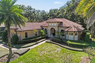 32519 Hawks Lake Ln, Sorrento, FL 32776 - Photo 1