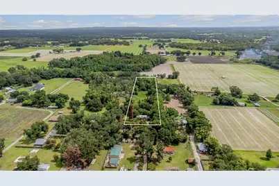 5566 Harvey Tew Road, Plant City, FL 33565 - Photo 11