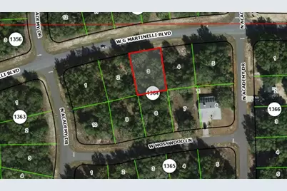 1402 W G Martinelli Boulevard, Citrus Springs, FL 34434 - Photo 1