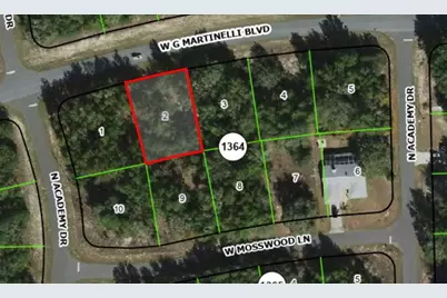 1424 W G Martinelli Boulevard, Citrus Springs, FL 34434 - Photo 1