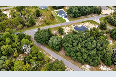 0 Guava Lane, Ocklawaha, FL 32179 - Photo 3