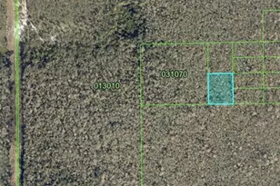 Davenport, Davenport, FL 33837 - Photo 1