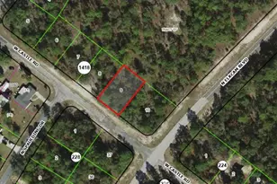 2715 W Castle Rd, Citrus Springs, FL 34433 - Photo 1