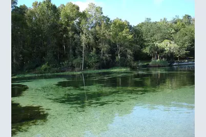 Tbd 155th Lane, Fort Mc Coy, FL 32134 - Photo 7