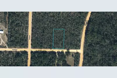 Hocking Street, Alford, FL 32420 - Photo 13