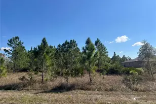 1247 Brunell Ave, Fort Myers, FL 33913 - Photo 5