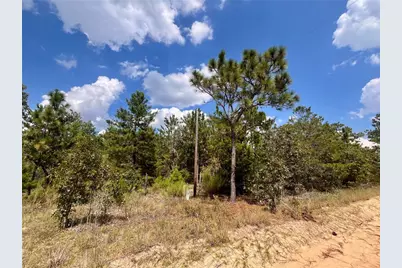 204 Glasgow Street, Interlachen, FL 32148 - Photo 3