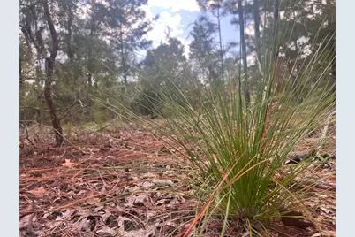 204 Glasgow Street, Interlachen, FL 32148 - Photo 5