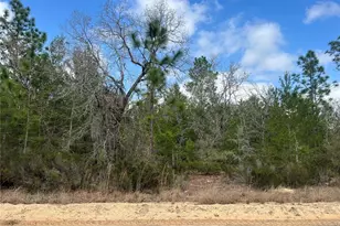 204 Glasgow St, Interlachen, FL 32148 - Photo 1