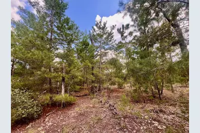 204 Glasgow Street, Interlachen, FL 32148 - Photo 9