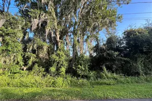 262 Toms Rd, Debary, FL 32713 - Photo 1