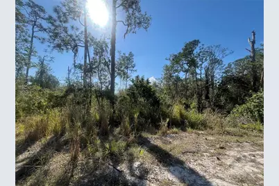 238 Swift Avenue, Sebring, FL 33870 - Photo 3