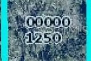 5556 Sandal Ln, Bokeelia, FL 33922 - Photo 3