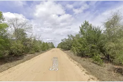 Shappell Ave, Interlachen, FL 32148 - Photo 9