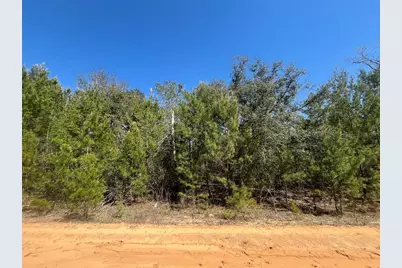 Shappell Ave, Interlachen, FL 32148 - Photo 5