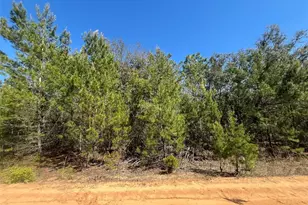 Shappell Ave, Interlachen, FL 32148 - Photo 1