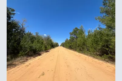 Shappell Ave, Interlachen, FL 32148 - Photo 11