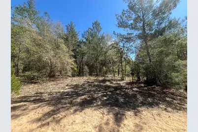 Kitty, Interlachen, FL 32148 - Photo 5