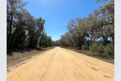 Walker, Interlachen, FL 32148 - Photo 7