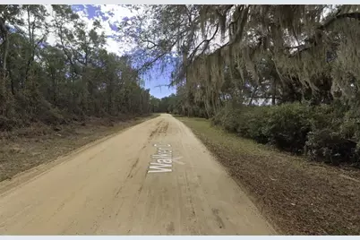 Walker, Interlachen, FL 32148 - Photo 9