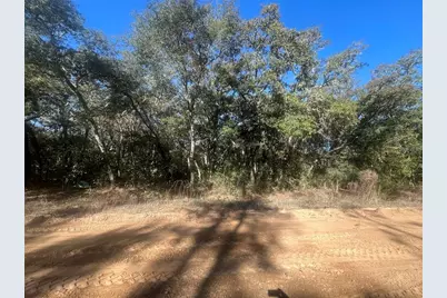 Banks, Interlachen, FL 32148 - Photo 3