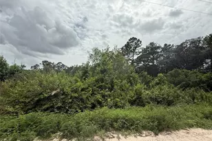 129 Fisherman S Dr, Interlachen, FL 32148 - Photo 1