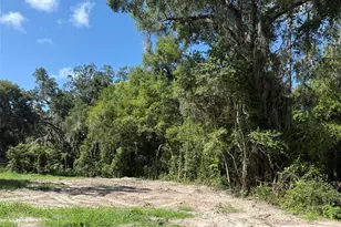 115 Roddy Ln, Palatka, FL 32177 - Photo 1