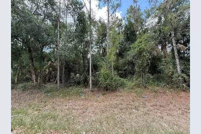 15501 Whitehall Avenue, Port Charlotte, FL 33953 - Photo 3