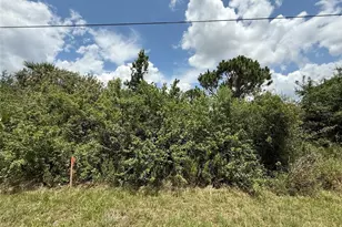 Snug St, North Port, FL 34286 - Photo 1