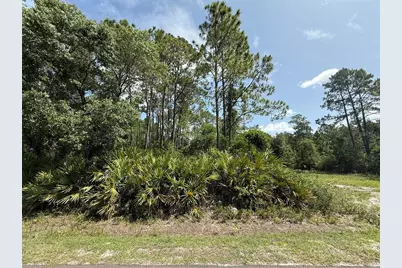 174 Millican Road, Palatka, FL 32177 - Photo 5