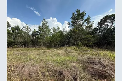 2921 W Seville Drive, Avon Park, FL 33825 - Photo 1