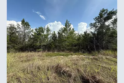 2921 W Seville Drive, Avon Park, FL 33825 - Photo 5