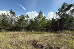 2921 W Seville Dr, Avon Park, FL 33825 - Photo 5