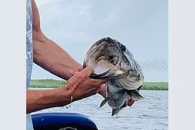 15187 NW 278th Street, Okeechobee, FL 34972 - Photo 19